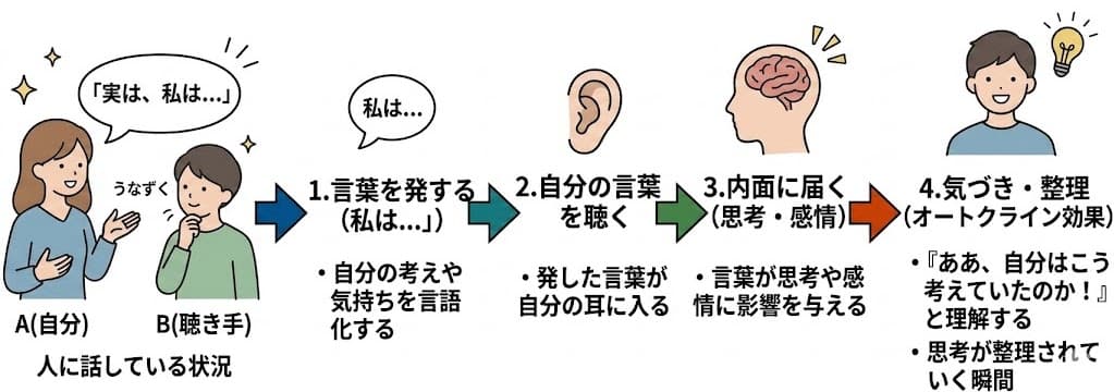 オートクライン効果について